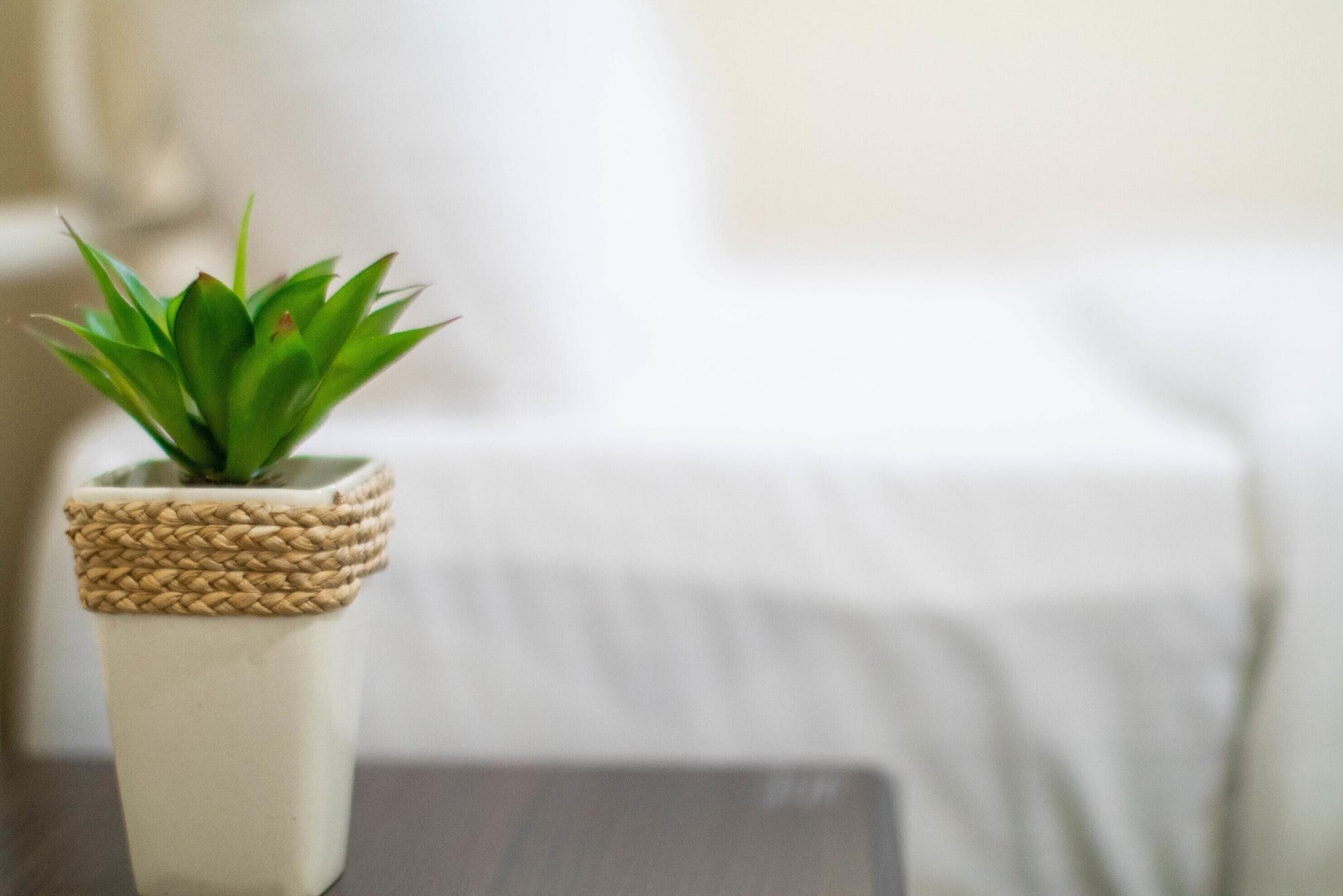 Teja Hotel Bangkok Zewnętrze zdjęcie